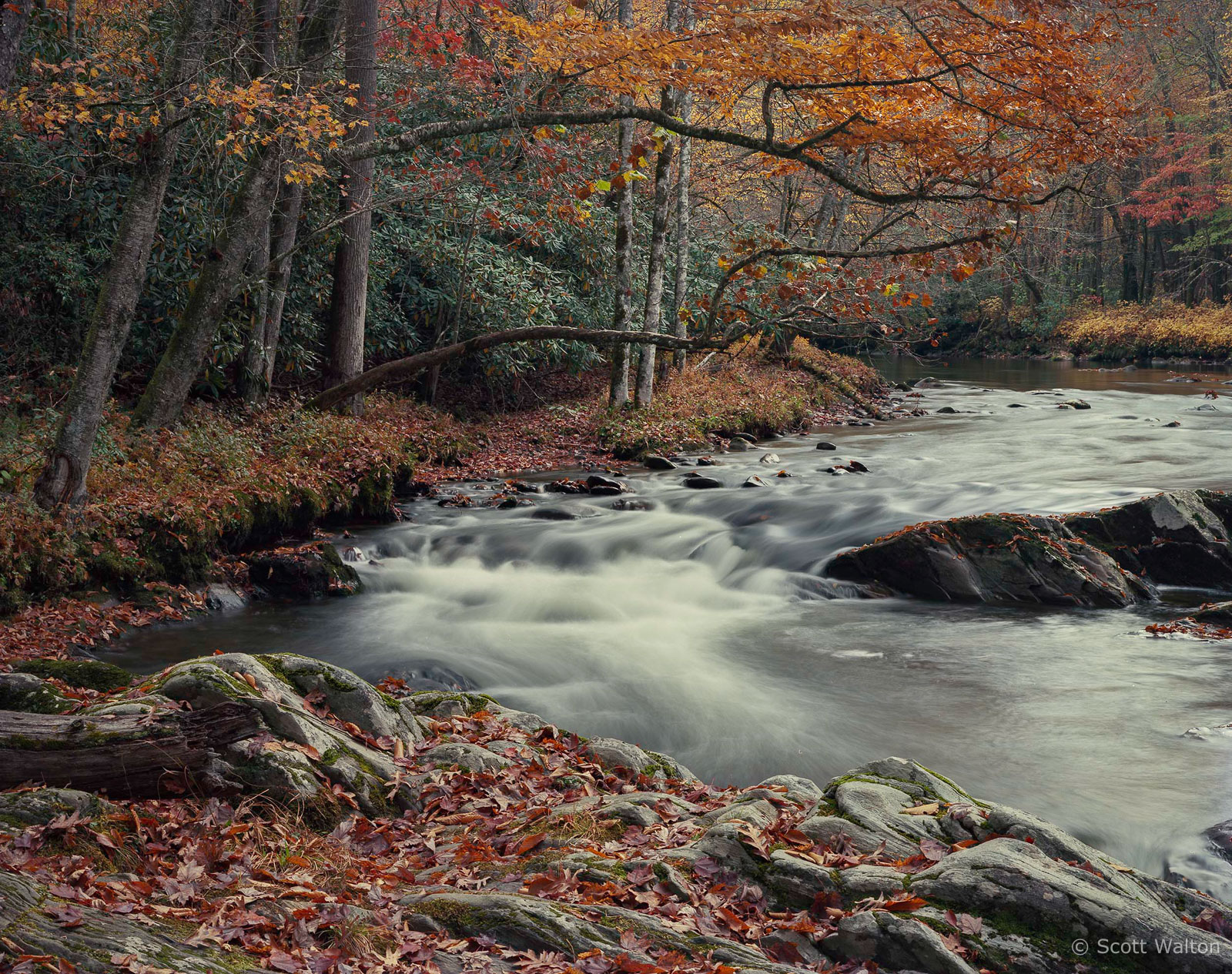 Smokies-Oconoluftee-River-fall-rightAngleBend-ektar100-homescan.jpg