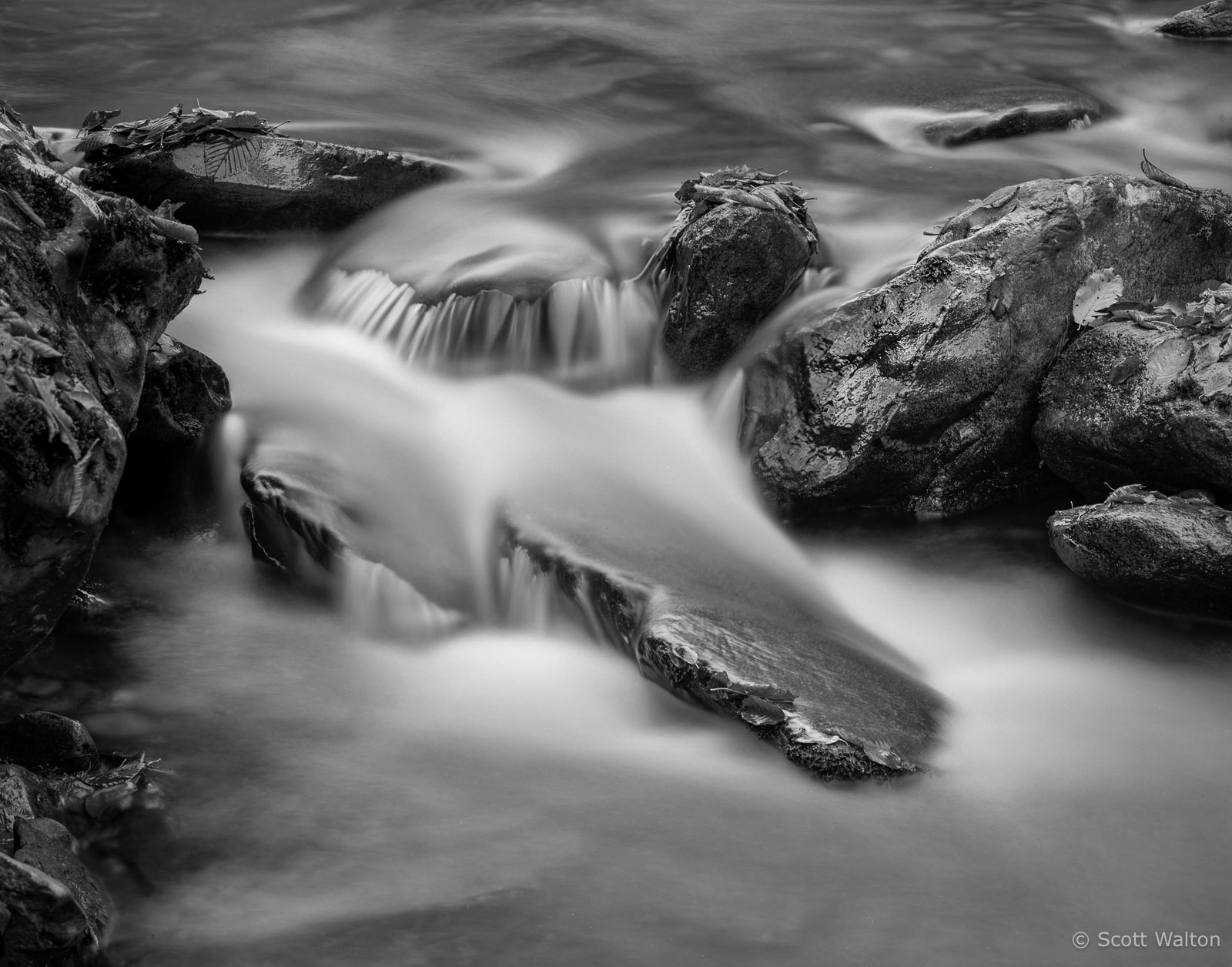 Smokies-WestProngLIttlePigeonRiver-FlatRockRapids-homescan-tmax100.jpg