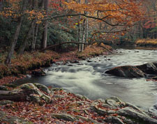 Smokies-Oconoluftee-River-fall-rightAngleBend-ektar100-homescan.jpg