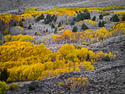 Eastern Sierra Eastern Sierra