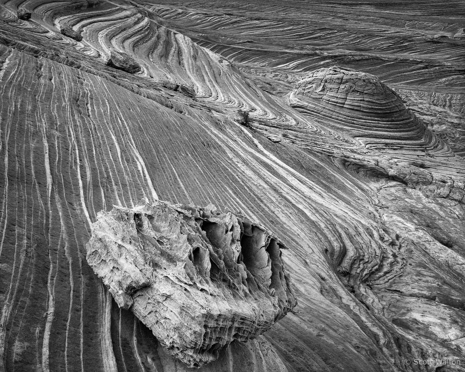 CoyoteButtes-Erratics-homescan-tri-x.jpg