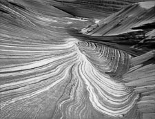 CoyoteButtesNorth-Dune-swirls-homescan-tmax100.jpg