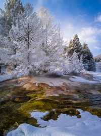 fresh-snow-canary-spring-yellowstone-national-park-wyoming.jpg