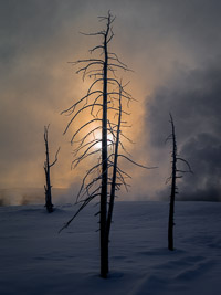 sunrise-steam-snow-color-yellowstone-national-park-wyoming.jpg