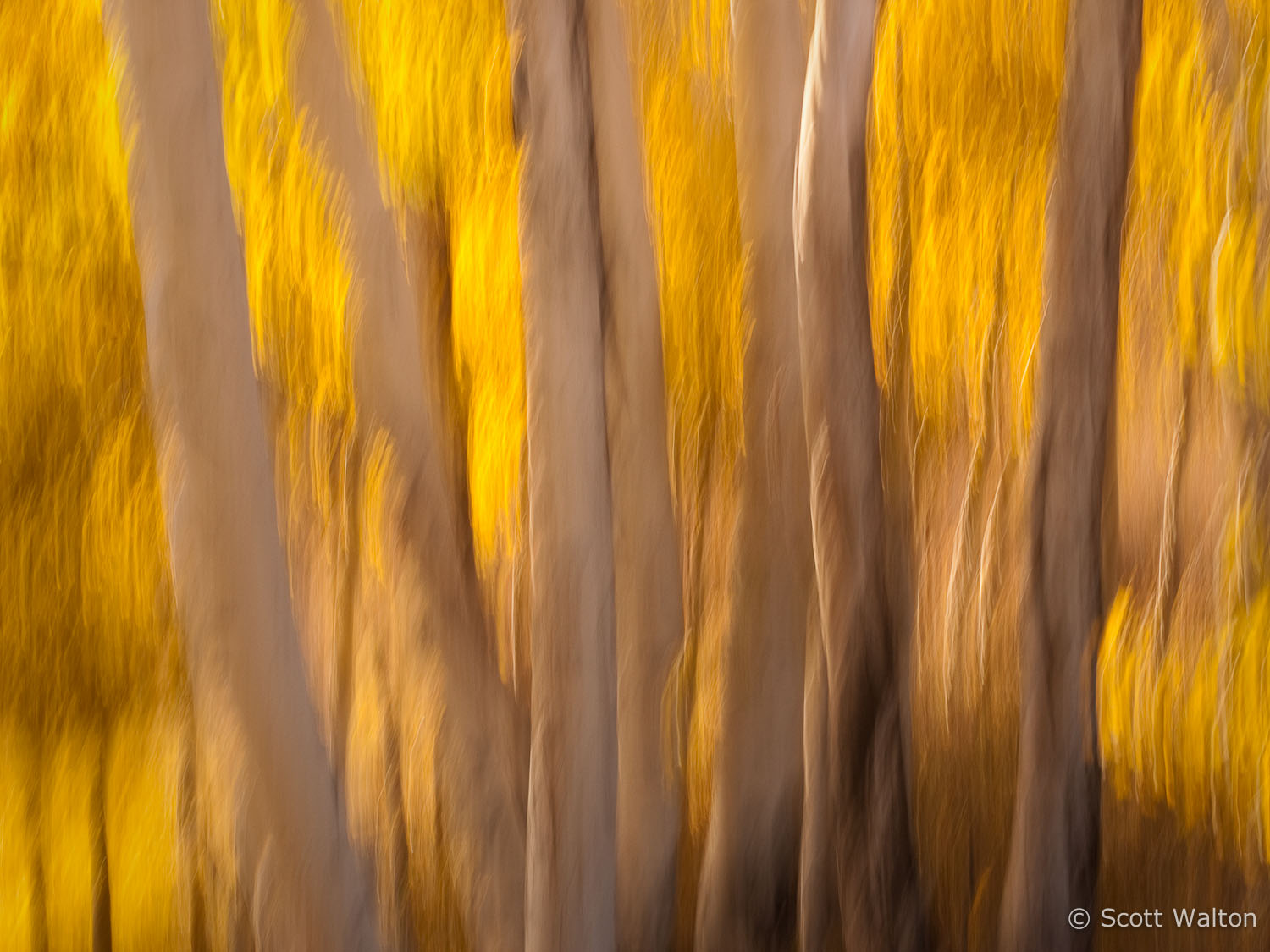 motion-blur-abstract-impression_1080569.jpg